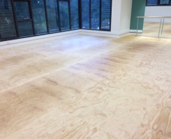 What Plywood Timber Floor looks like as a flooring option