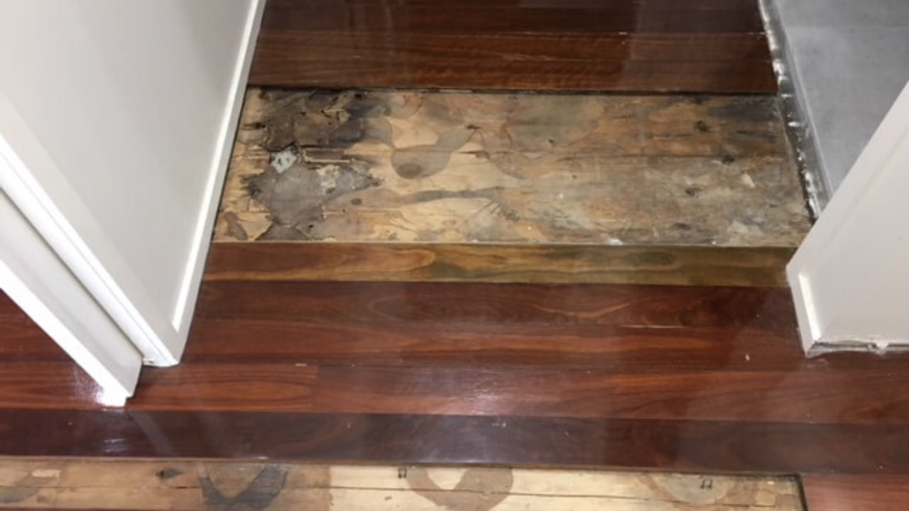 Floor Board Repair With Sanding And Polishing